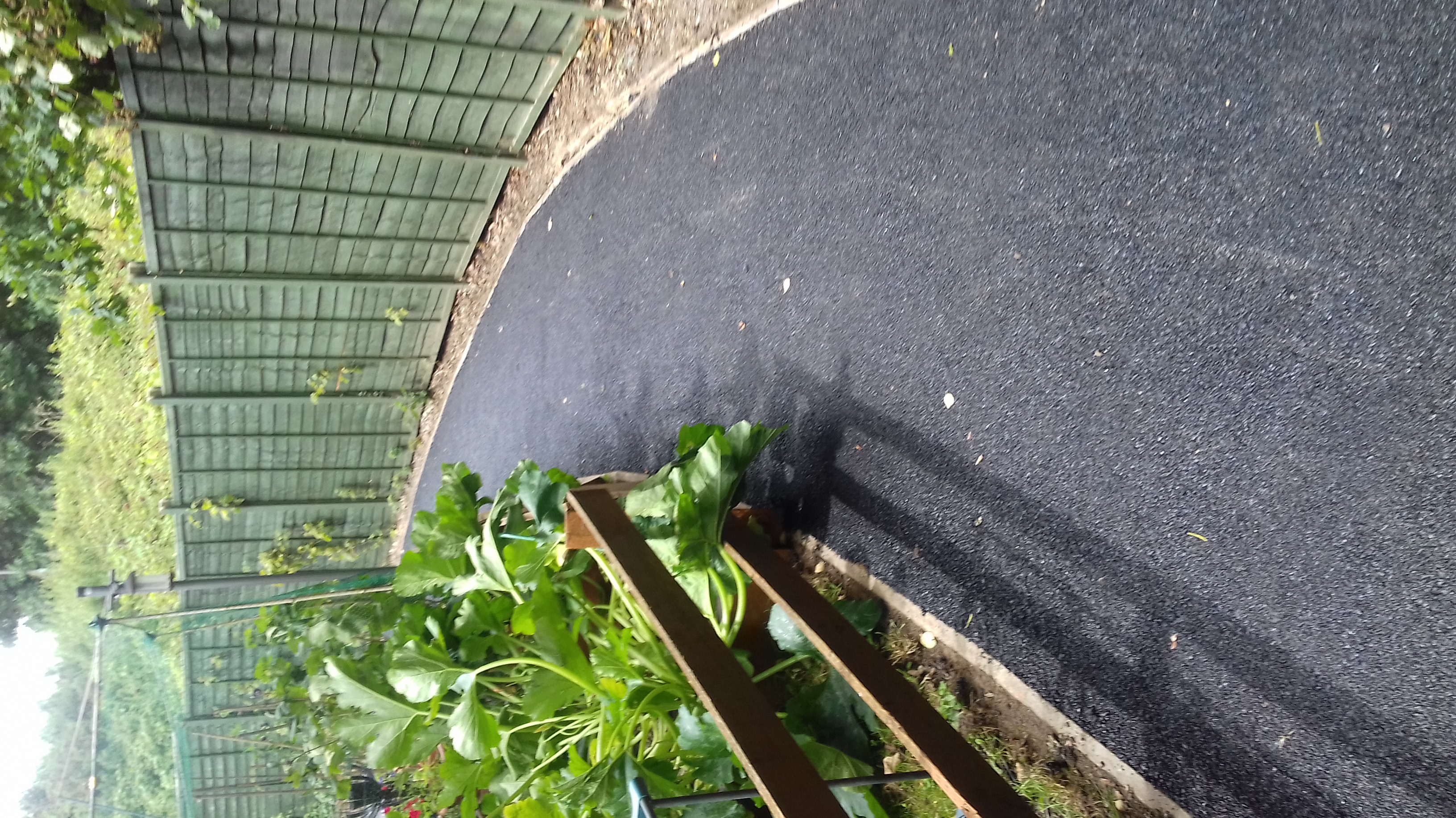 Footpath after fresh tarmac resurfacing